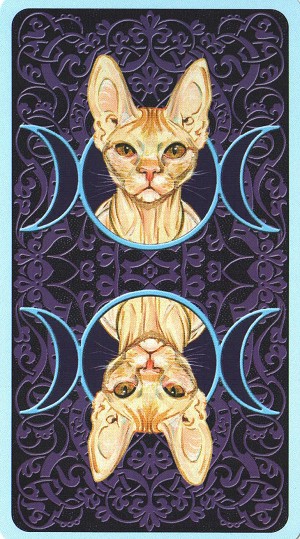 Yilei Tarot